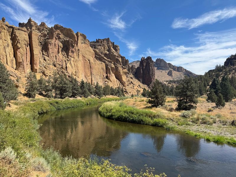 Eagles And Falcons Rule The Sky While Otters Work The River