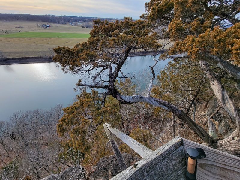 Eagles, Herons, And Wildflowers Steal The Show