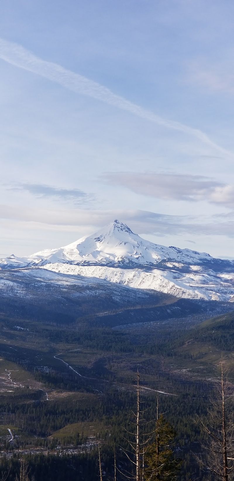 Eagles, Trout, and a River Worth the Detour