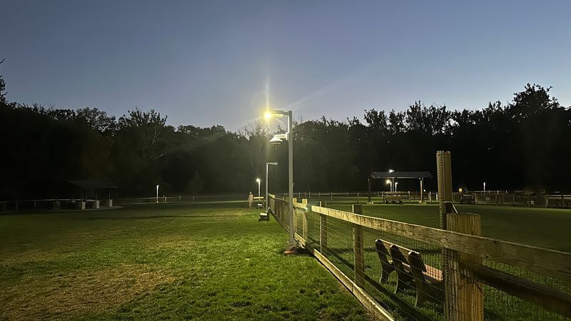 Early Birds And Night Owls Both Get Playtime Early Birds And Night Owls Both Get Playtime