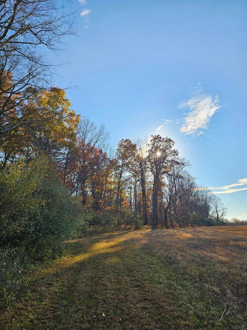 Easy Trails Hugging the Field Edges