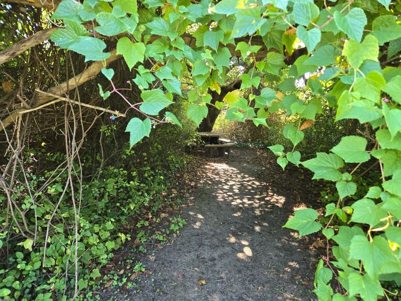 Easy Trails Made for Wandering Easy Trails Made for Wandering