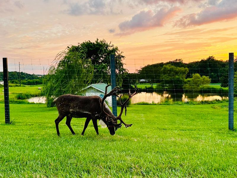 Easy to Pair With a Santa Claus Getaway Easy to Pair With a Santa Claus Getaway