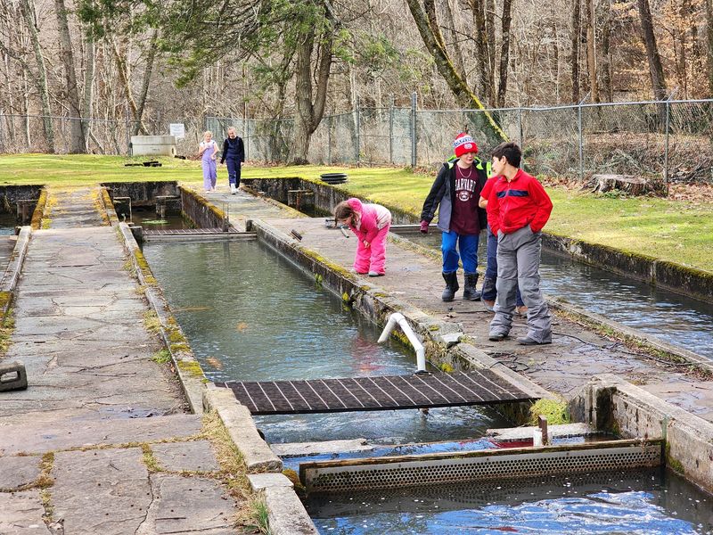 Edray Fish Hatchery