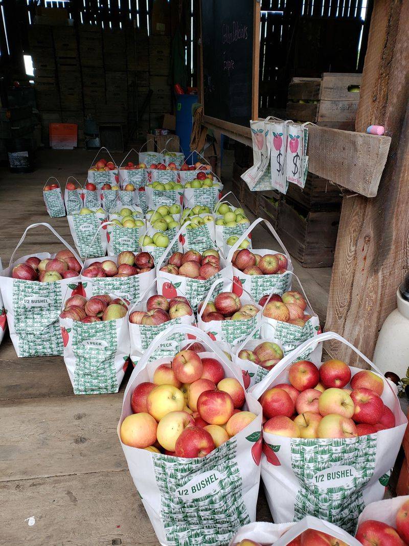 Ellis Apples and Farm Market