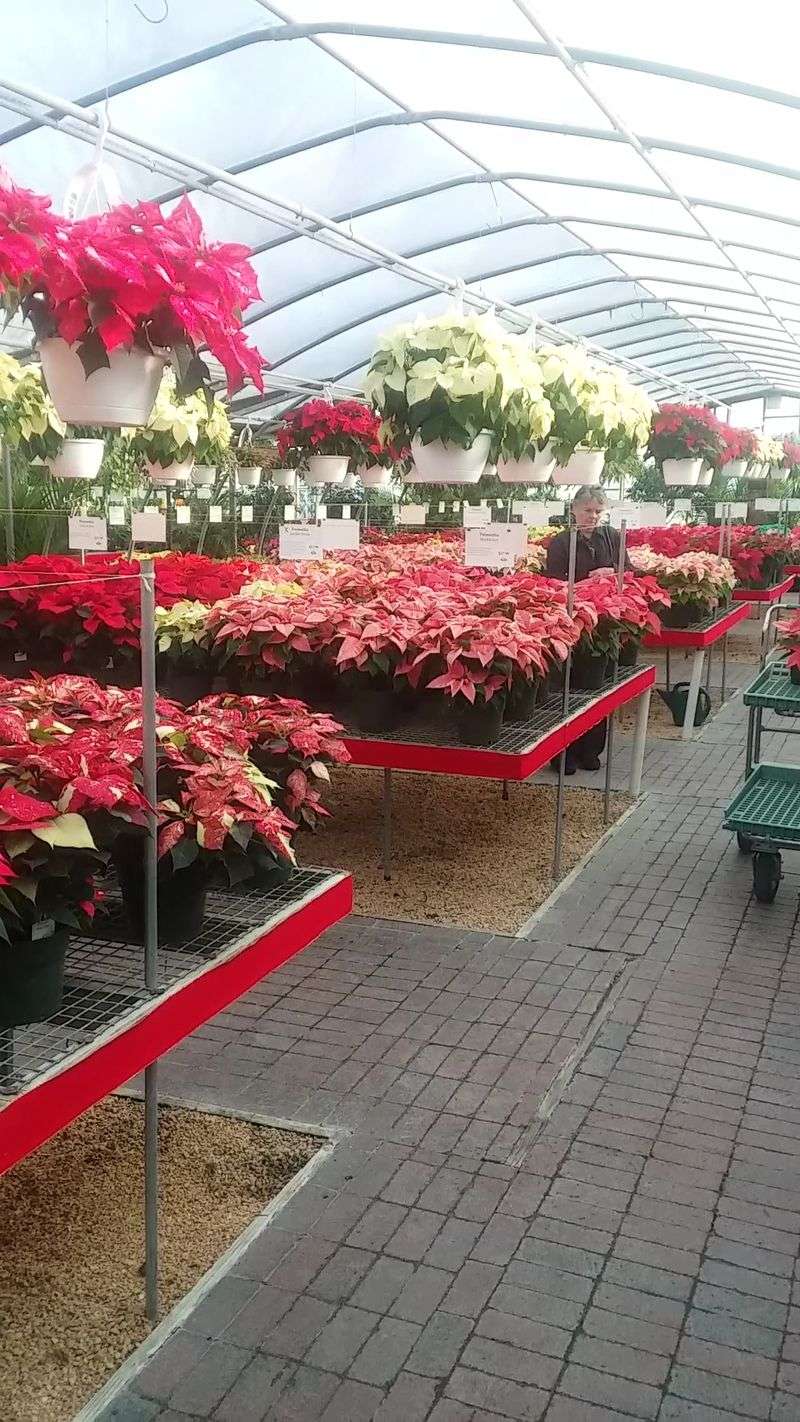 Every Season Brings A New Reason