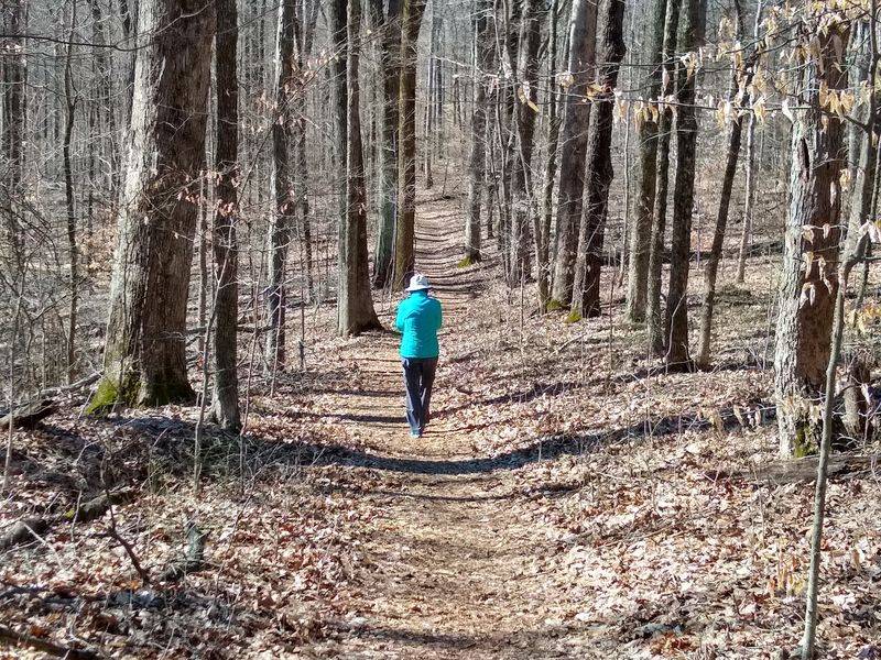 Every Season Gives The Old Giants A New Outfit