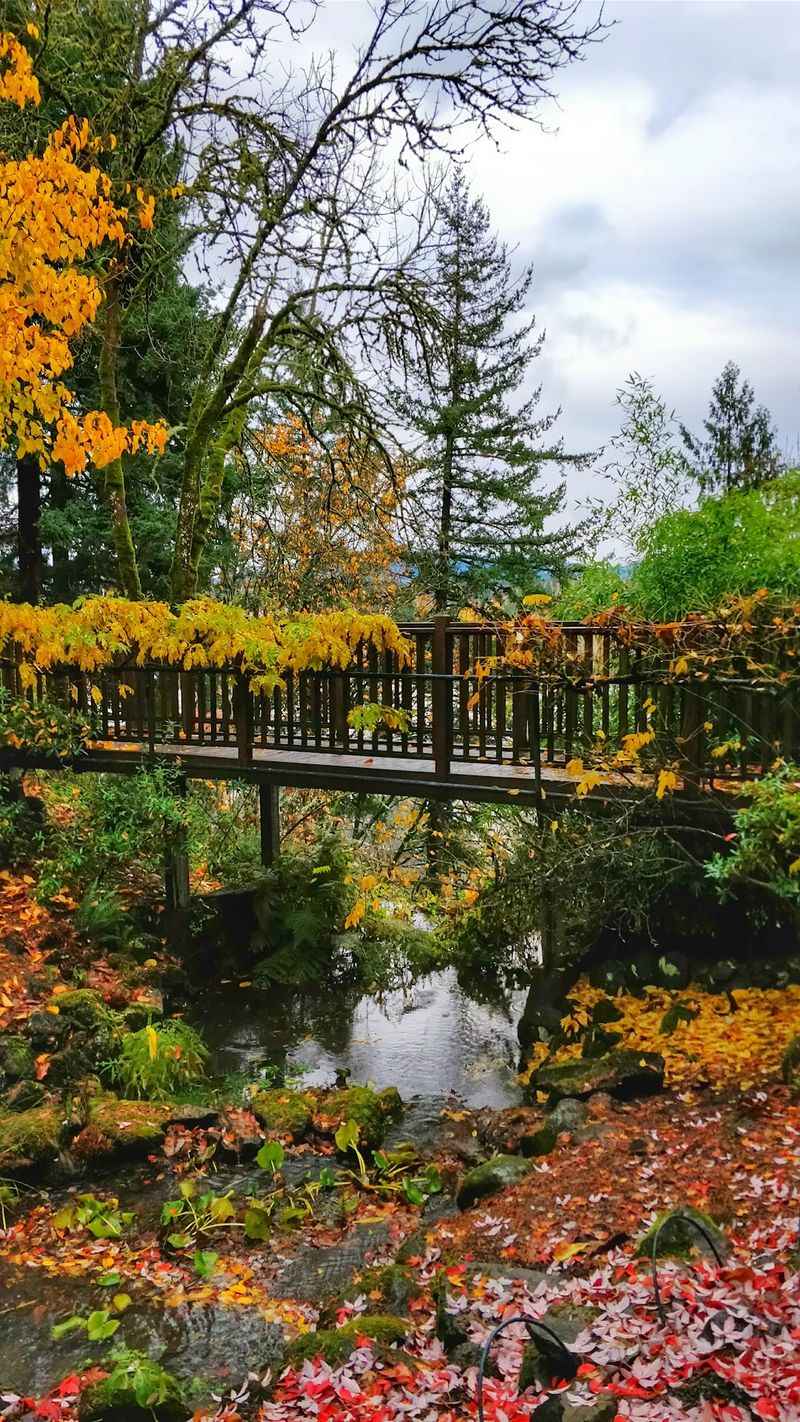 Every Season Paints It Differently Every Season Paints It Differently
