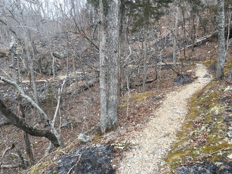 Every Step Of This Loop Was Shaped By Volunteer Hands Every Step Of This Loop Was Shaped By Volunteer Hands