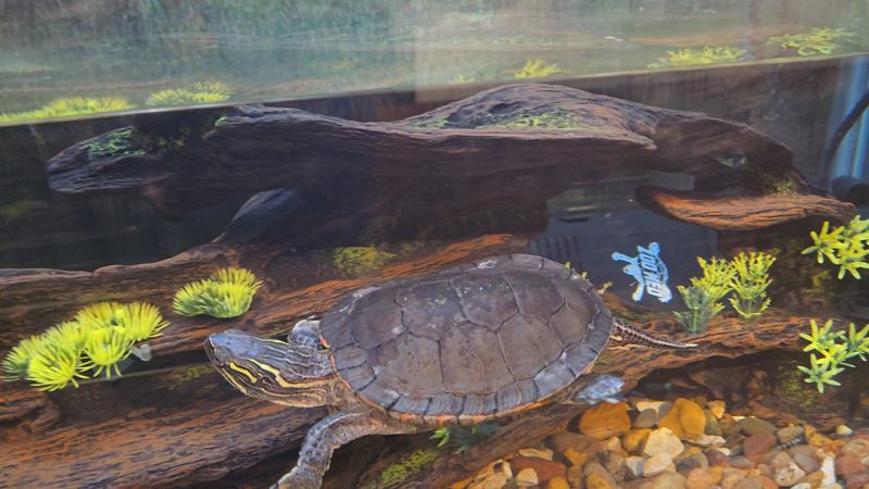 Exhibits That Make Learning Feel Easy