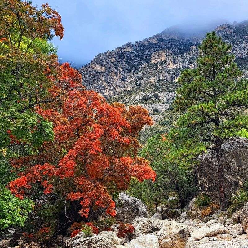Fall Colors In The Canyon Feel Like A Storybook Twist