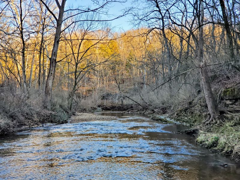 Fall Colors Turn This Spot Into A Painting Fall Colors Turn This Spot Into A Painting