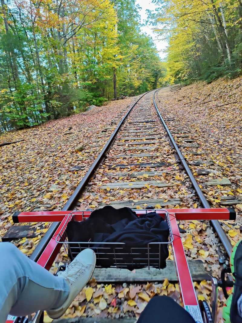 Fall Colors Turn the Tracks Golden