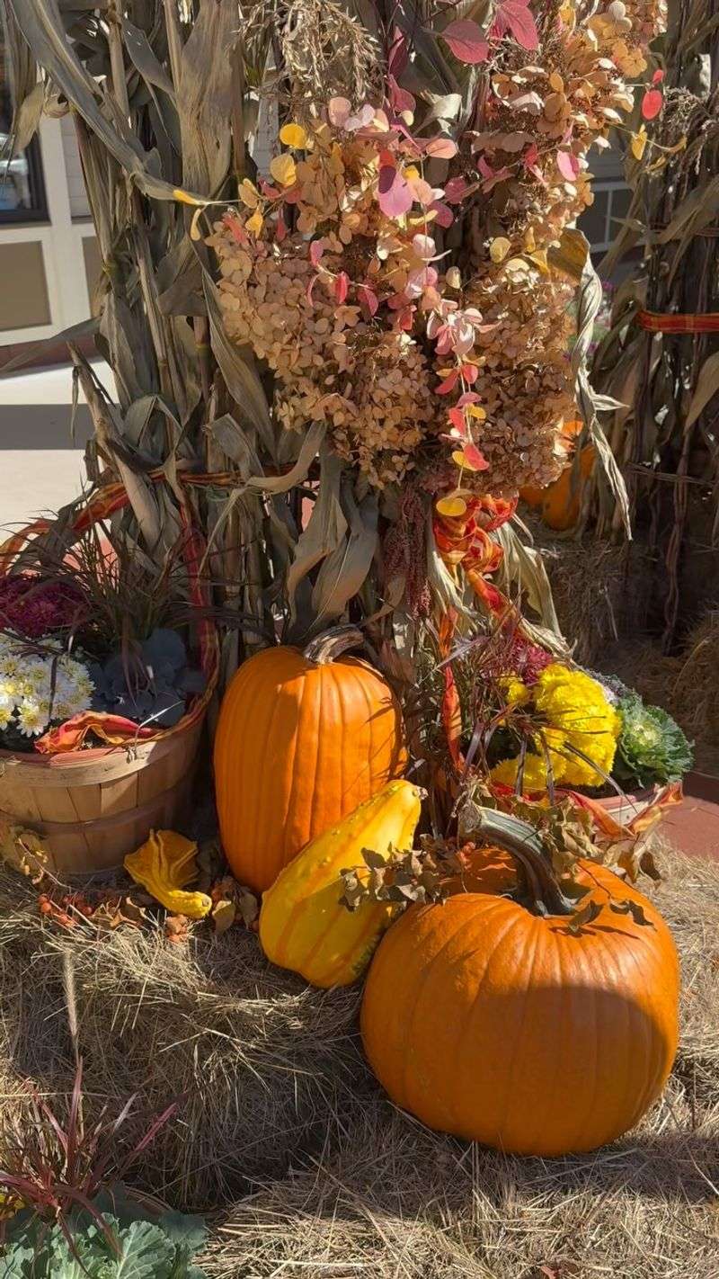 Fall Festival at Settlers Green