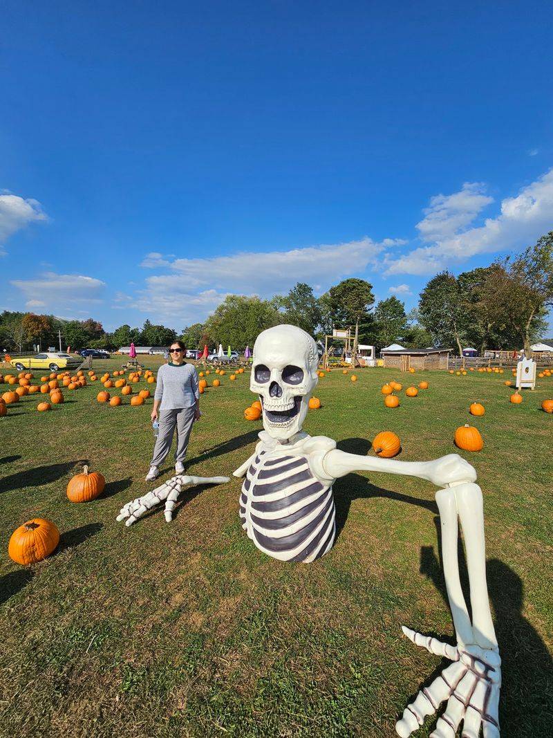 Fall Magic With a Corn Maze and Pumpkin Patch Fall Magic With a Corn Maze and Pumpkin Patch