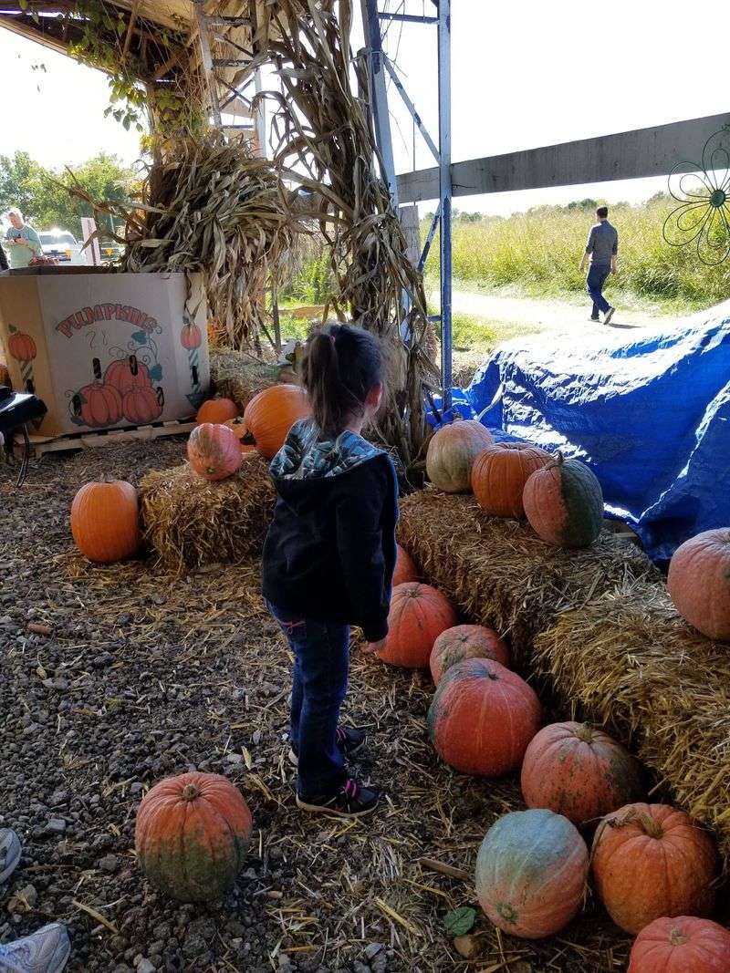 Fall Traditions That Families Carry Year After Year Fall Traditions That Families Carry Year After Year