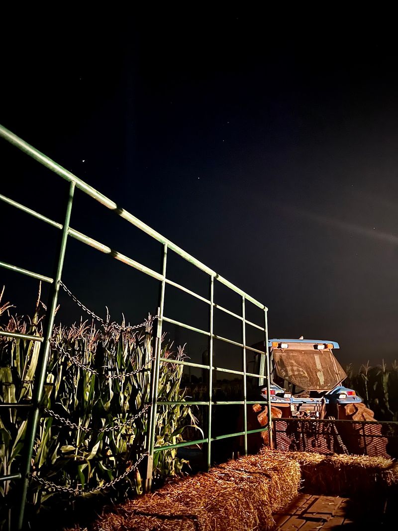 Fall Weekends After Dark Are Your Only Window