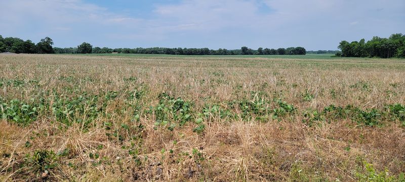 Farmland Counts as Infrastructure Too