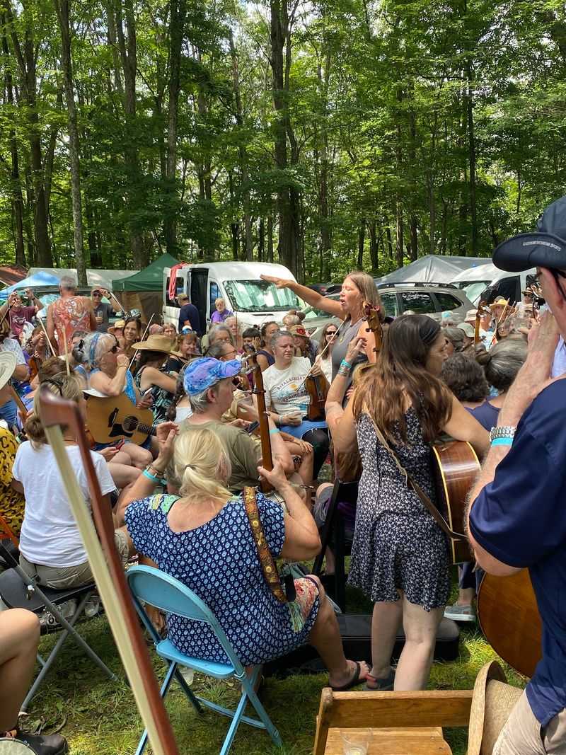 Fiddles Under the Trees