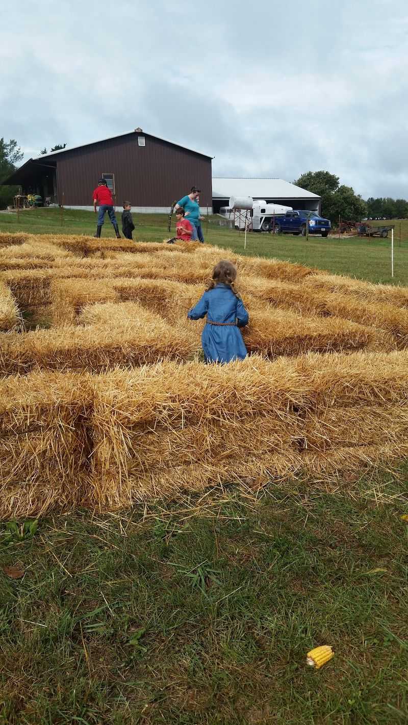 Field Trips That Teach Real Farming Field Trips That Teach Real Farming