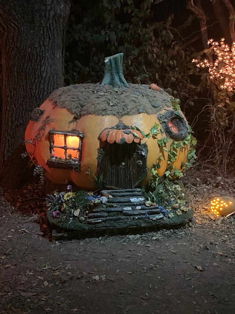 Fiery Colors And Ghostly Sails Steal The Show