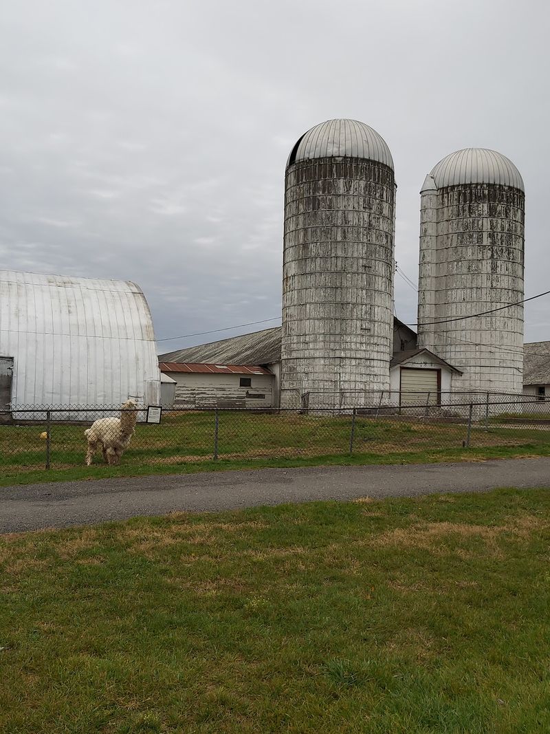 Fifty Thousand Artifacts Need A Lot Of Barns Fifty Thousand Artifacts Need A Lot Of Barns