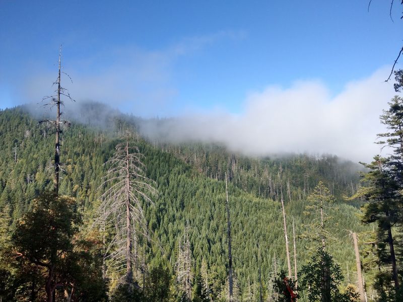Finding It Takes A Little Mountain Driving