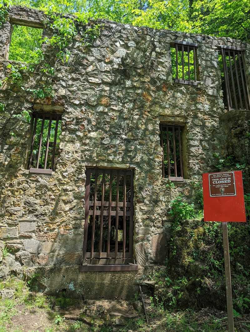 Finding It Takes A Little Ozark Grit