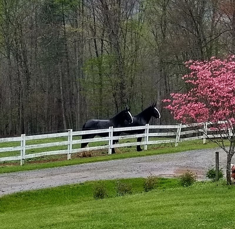Finding The Farm Takes You Down A Scenic Country Road