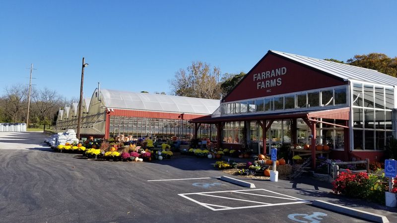 Finding Your Way To Noland Road