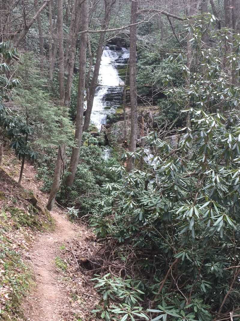 Finding Your Way to the Falls