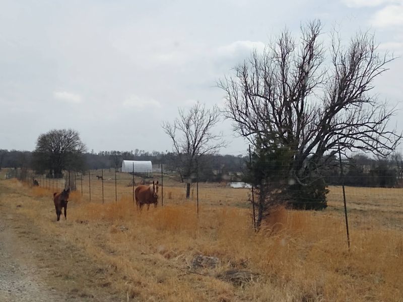 Finding the Ranch in Coal County Finding the Ranch in Coal County