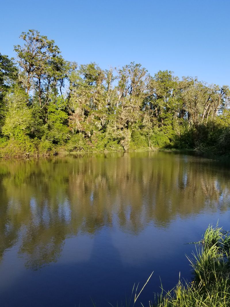 Fishing Lines and Duck Blinds