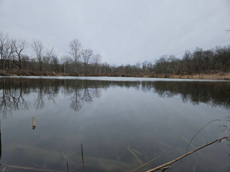Five Ponds Waiting Around Every Bend