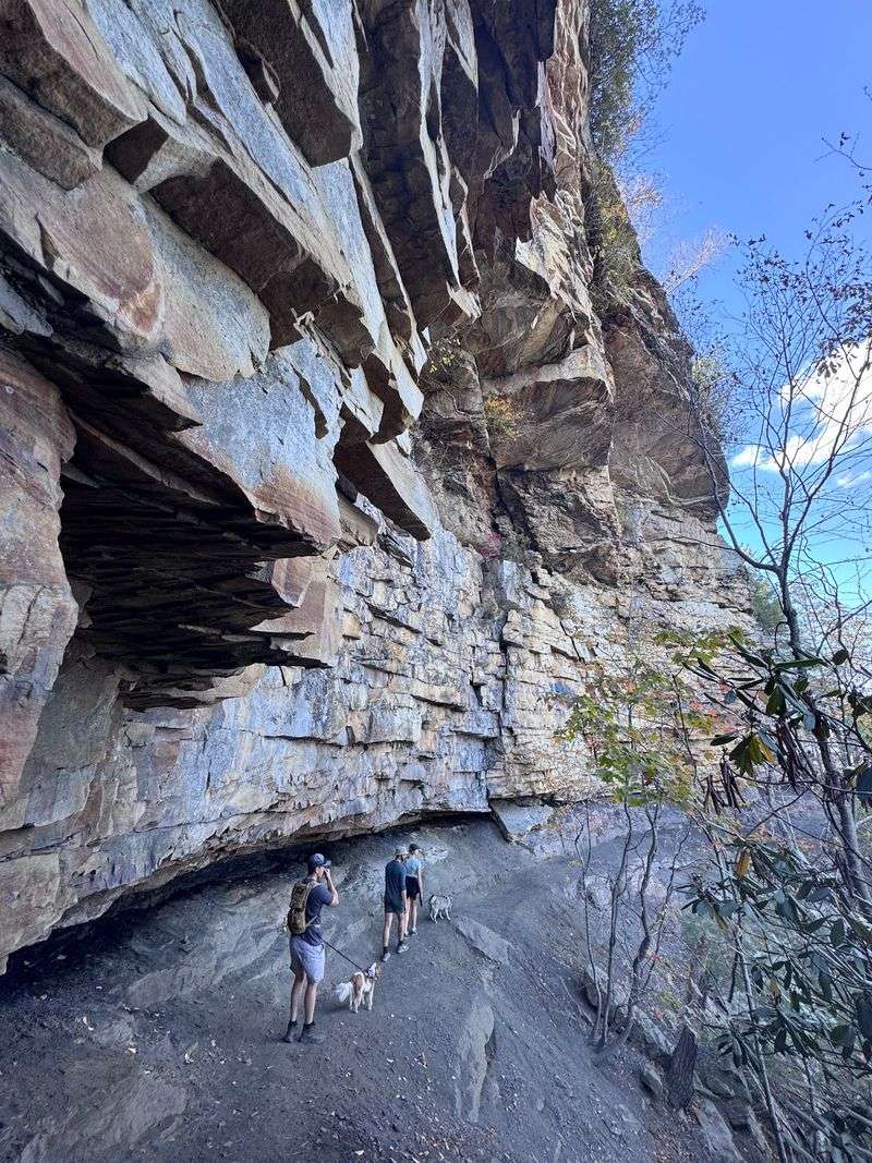 Five Trails, From Easy Rim Strolls To Rocky Scrambles
