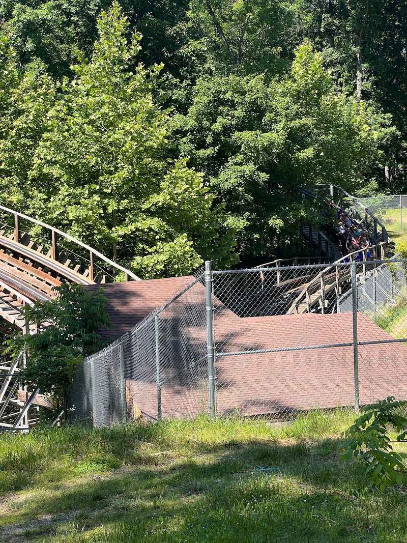 Five Tunnels Turn This Forest Ride Into a Game of Hide-and-Seek Five Tunnels Turn This Forest Ride Into a Game of Hide-and-Seek