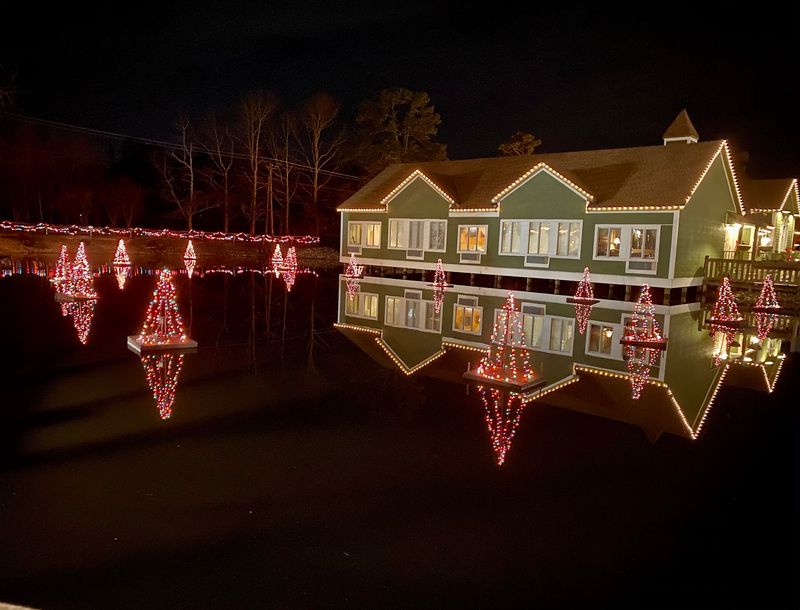 Floating Trees That Dance on Lake Meone