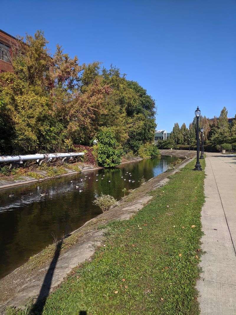 Food, Fun, and a Towpath Stroll