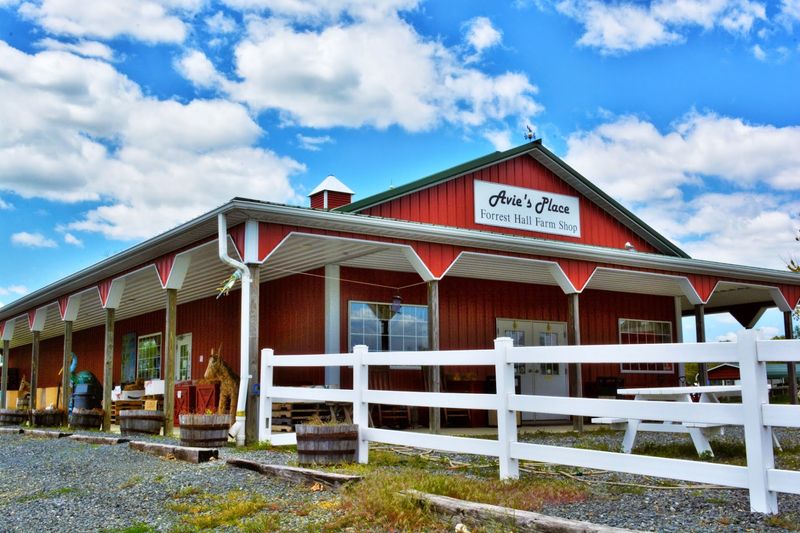 Forrest Hall Farm