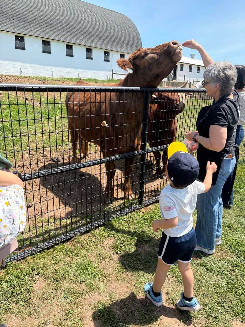 Forty-Five Minutes Of Hands-On Farm Fun Await Forty-Five Minutes Of Hands-On Farm Fun Await