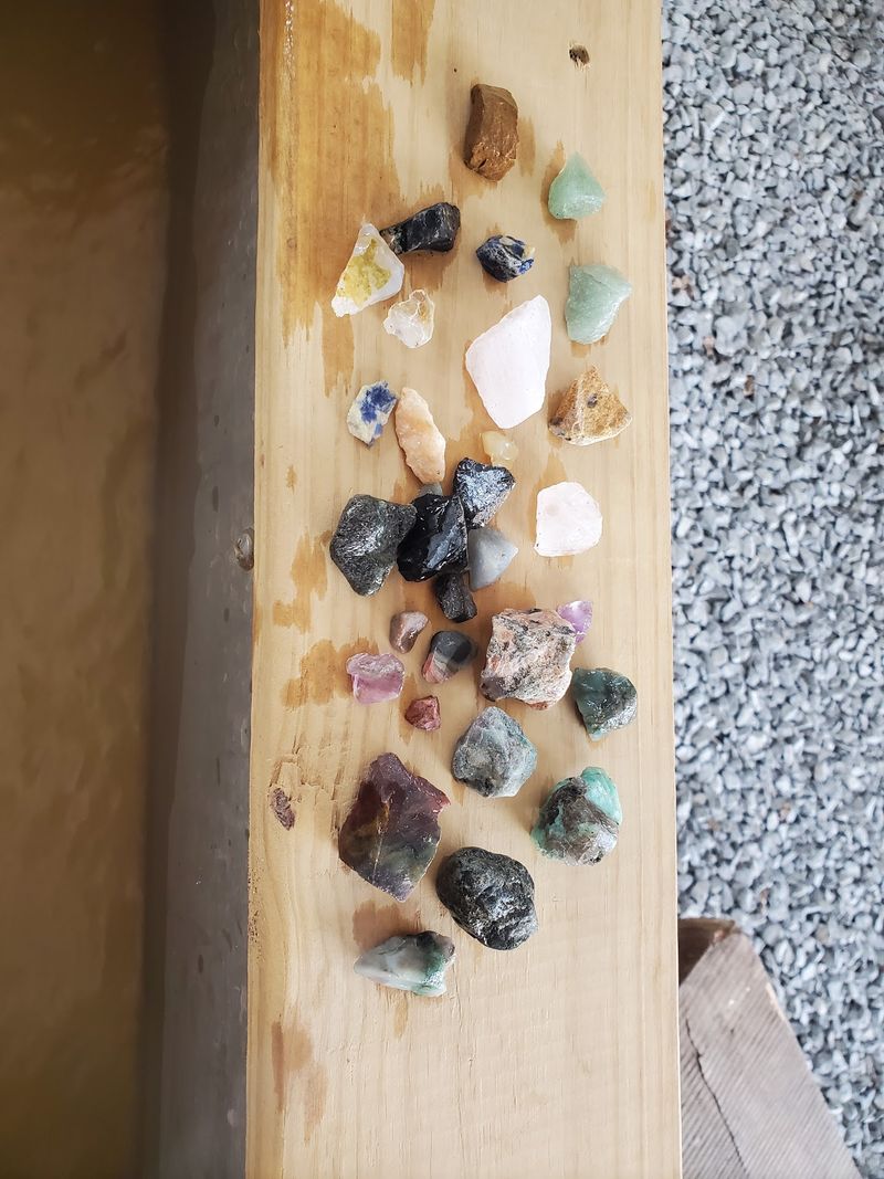 Fossils and Crystals to Take Home