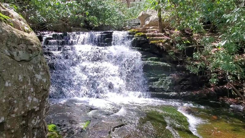 Four Falls and One Very Happy Creek