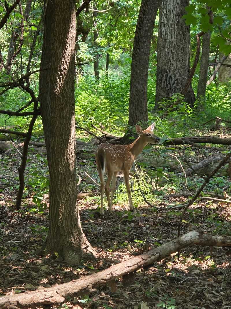 Free Admission Makes Learning About Wildlife Easy To Love Free Admission Makes Learning About Wildlife Easy To Love
