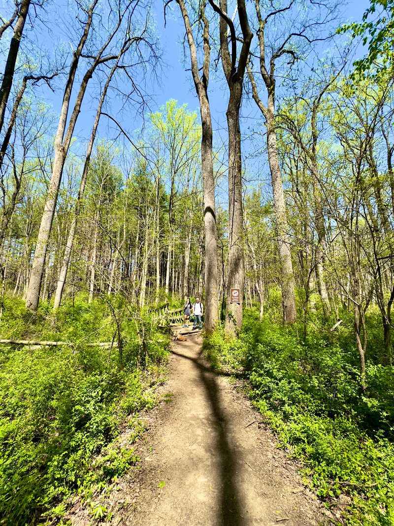 Free Admission Makes Planning Your Trip Easy