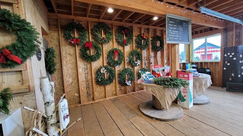Free Cocoa And A Crackling Fire Are Waiting Free Cocoa And A Crackling Fire Are Waiting