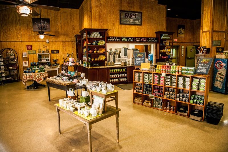 Free Sips at the Tea Bar Free Sips at the Tea Bar