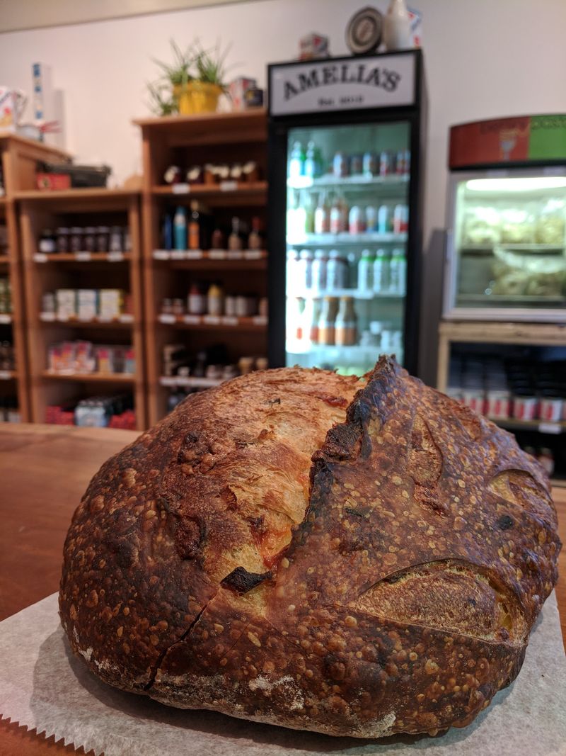 Free Sourdough Starter, Seriously