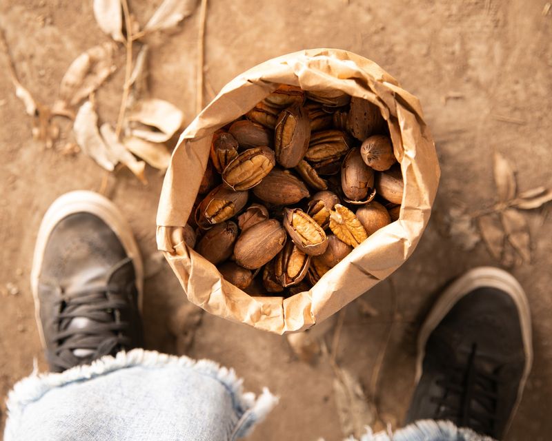 Fresh Pecans by Variety Fresh Pecans by Variety