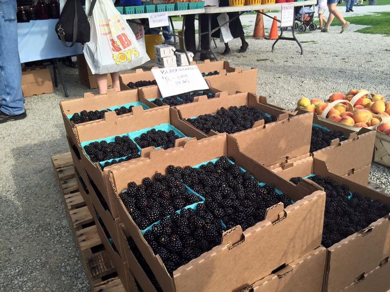 Fresh Produce And Amish Baked Goods Steal The Spotlight Fresh Produce And Amish Baked Goods Steal The Spotlight