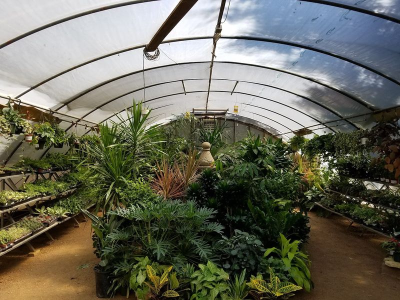 Friendly Faces and Tips for a Great Visit